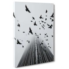 Fotografia in Bianco e Nero - In Fuga da Wall Street