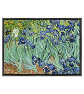 Van Gogh - Iris