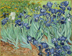 Van Gogh - Iris