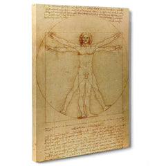 Leonardo Da Vinci - L'Uomo vitruviano