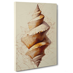 Geometrie del Guscio