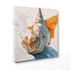 Conchiglia d'Artista