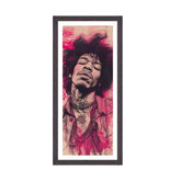 Hendrix Rapsodia Psichedelica