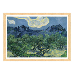 Van Gogh - Ulivi con le Alpilles sullo sfondo