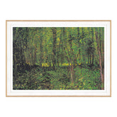 Van Gogh - Alberi e sottobosco