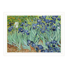 Van Gogh - Iris