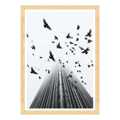 Fotografia in Bianco e Nero - In Fuga da Wall Street