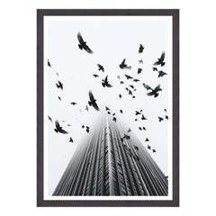 Fotografia in Bianco e Nero - In Fuga da Wall Street