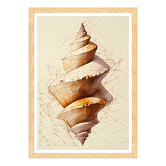 Geometrie del Guscio