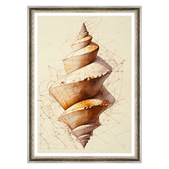 Geometrie del Guscio