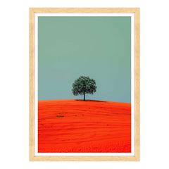 Armonia Contrastante
