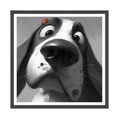 La Sorpresa sul Muso