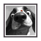 Esplorazione Monocromatica: La Coccinella Curiosa