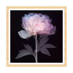 Etere Floreale