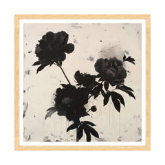 Peonie Nere: Mistero e Suggestione