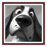 La Sorpresa sul Muso