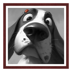 La Sorpresa sul Muso