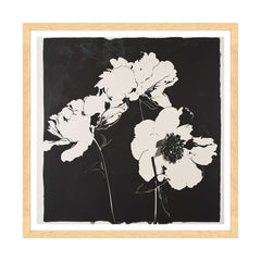 Contrasto in Chiave di Peonia