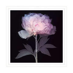 Etere Floreale