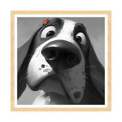 La Sorpresa sul Muso