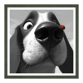 Due Mondi Si Incontrano: Amici Improbabili