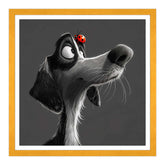 Momento di Curiosità: Incontro al Vertice