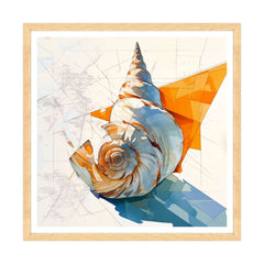 Conchiglia d'Artista