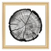 Memorie Incise nel Tempo