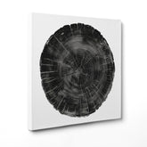 Cronache di un Gigante Silente