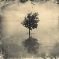 Riflessioni su un Piano Tranquillo
