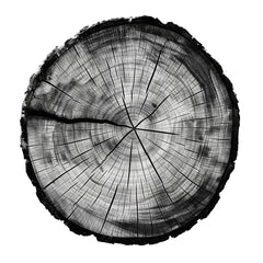 Anelli di Storia Naturale