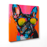 Il Bulldog Metropolitano