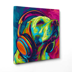 Il Cool Factor a Quattro Zampe