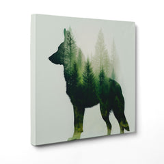Sentiero Verde: Echi Canini