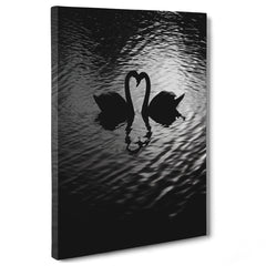 Amore Riflesso, Ballata dei Cigni