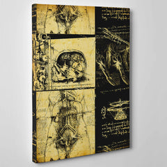 Leonardo Da Vinci - Studio di Anatomia - Medicina Chirurgia