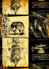 Leonardo Da Vinci - Studio di Anatomia - Medicina Chirurgia