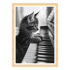 Eleganza Classica: Il Virtuoso Micio