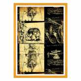 Leonardo Da Vinci - Studio di Anatomia - Medicina Chirurgia