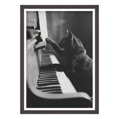 Il Musicista Quattrozampe