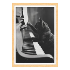 Il Musicista Quattrozampe