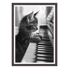 Eleganza Classica: Il Virtuoso Micio