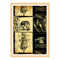 Leonardo Da Vinci - Studio di Anatomia - Medicina Chirurgia
