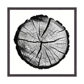 Tracce dell'Esistenza