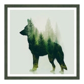 Sentiero Verde: Echi Canini