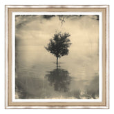 Riflessioni su un Piano Tranquillo