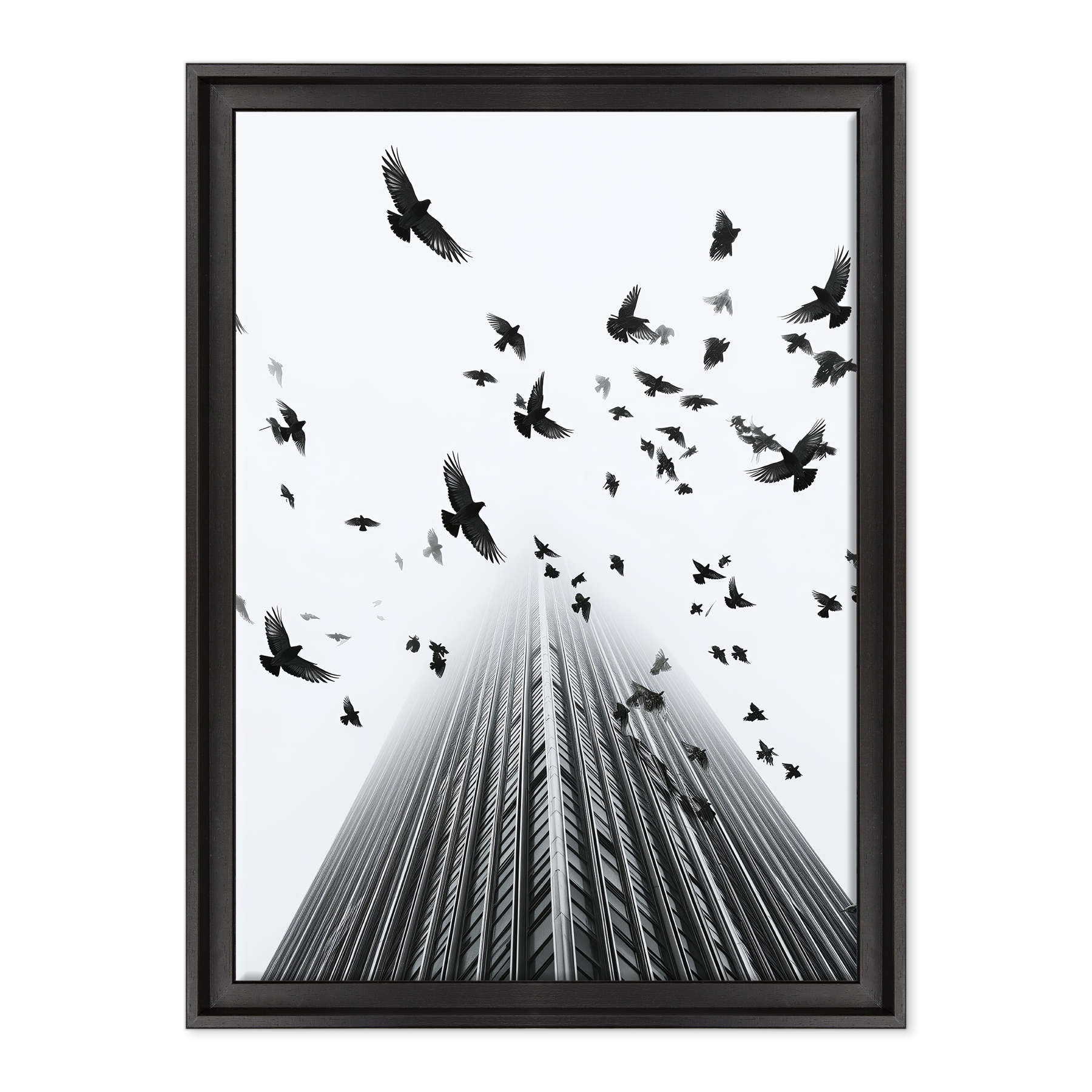 Fotografia in Bianco e Nero - In Fuga da Wall Street