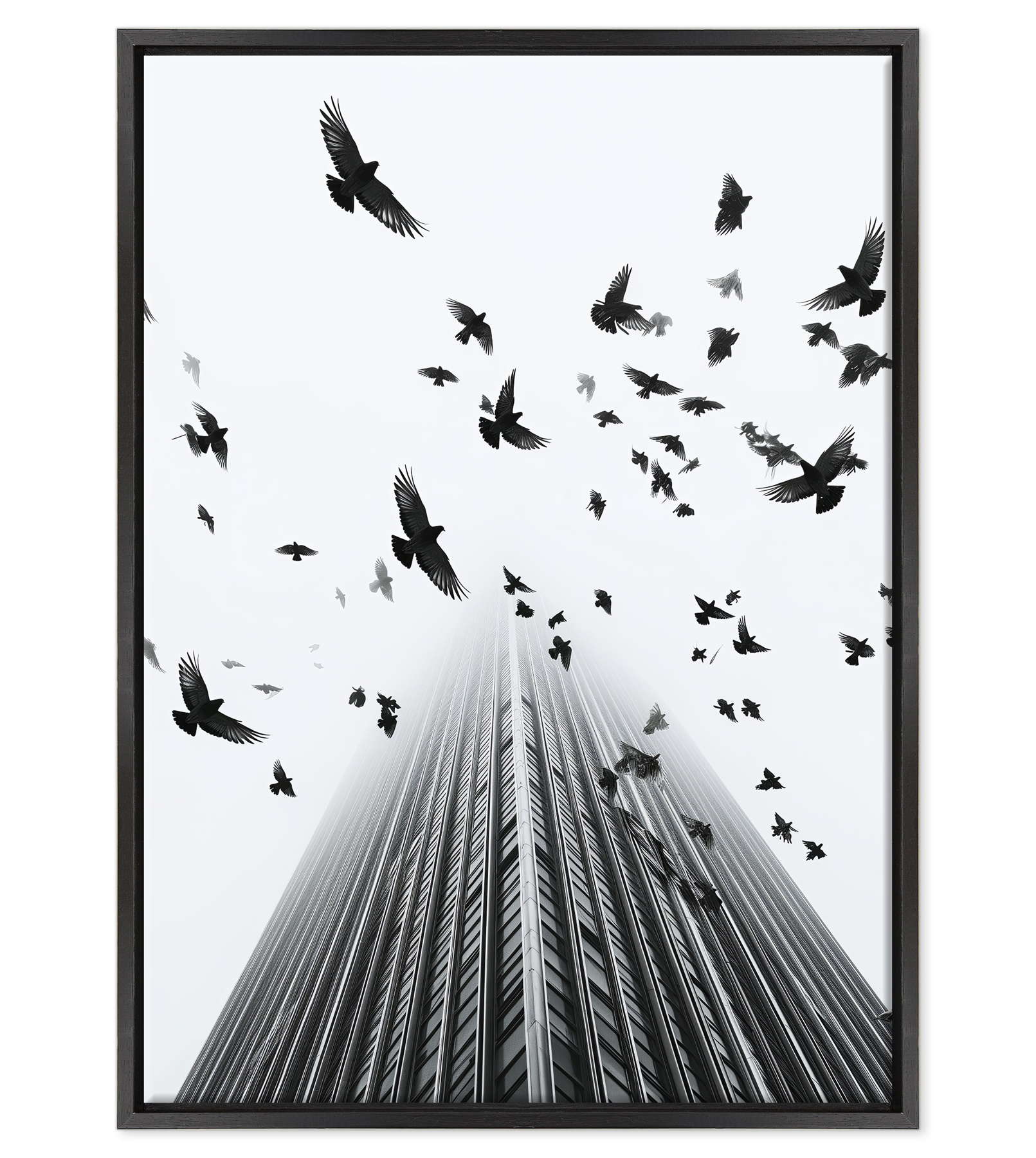 Fotografia in Bianco e Nero - In Fuga da Wall Street