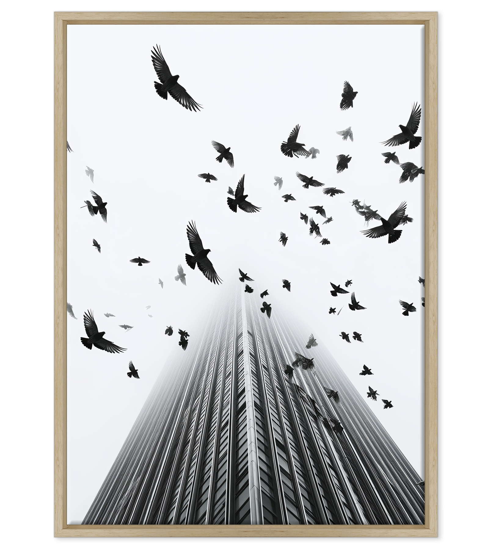 Fotografia in Bianco e Nero - In Fuga da Wall Street