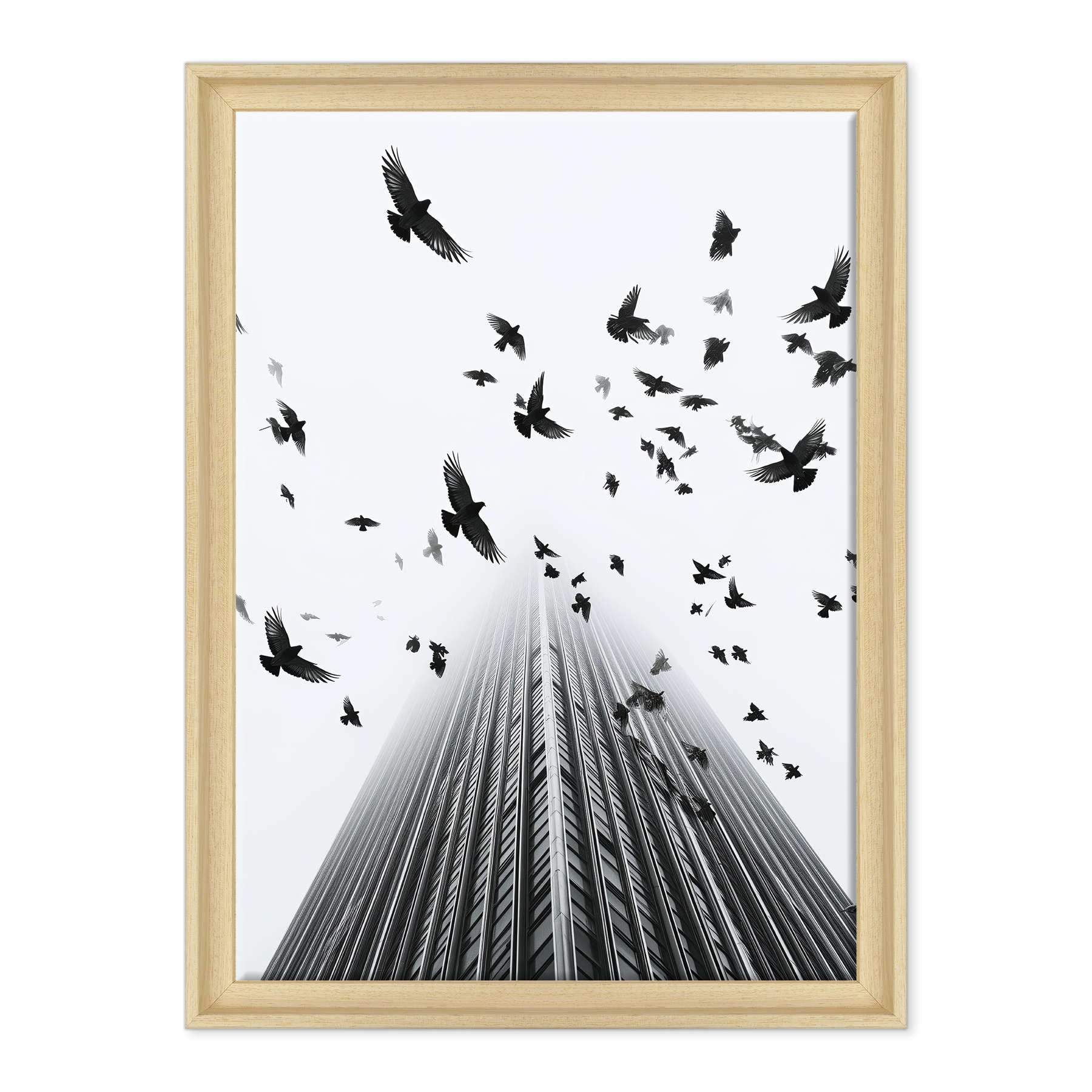 Fotografia in Bianco e Nero - In Fuga da Wall Street